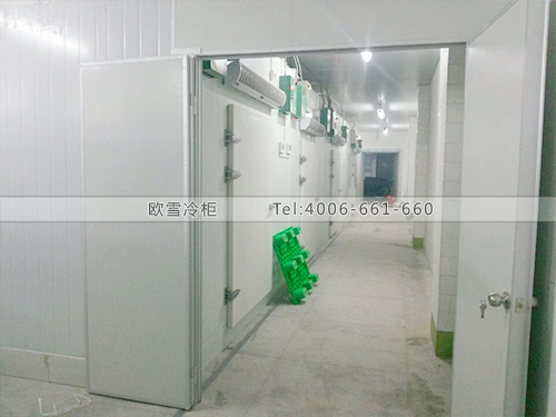 醫(yī)藥冷庫設(shè)計(jì).jpg