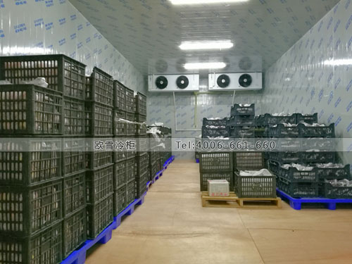 水果冷藏庫(kù)建造.jpg