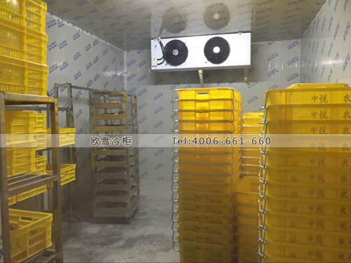 瓜果蔬菜保鮮庫(kù).jpg 瓜果蔬菜保鮮庫(kù).jpg