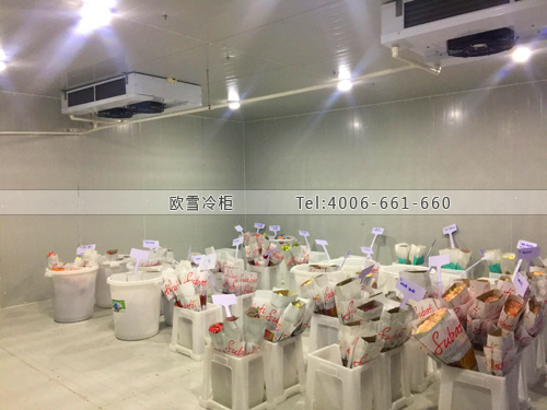 鮮花基地保鮮庫(kù).jpg