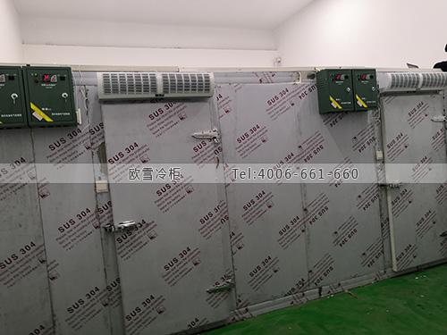 醫(yī)用疫苗冷庫(kù).jpg 醫(yī)用疫苗冷庫(kù).jpg