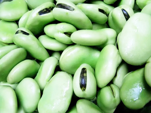 蠶豆儲(chǔ)藏冷庫(kù).jpg 蠶豆儲(chǔ)藏冷庫(kù).jpg