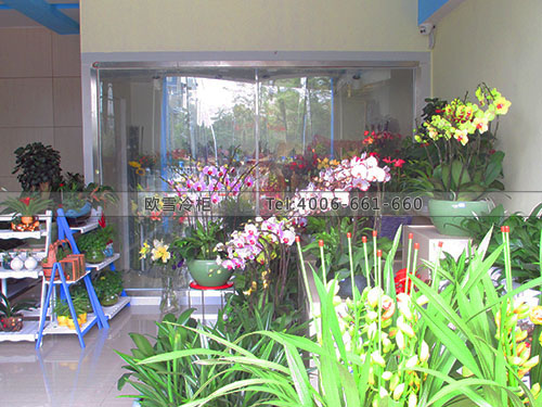 鮮花保鮮冷庫安裝.jpg 鮮花保鮮冷庫安裝.jpg