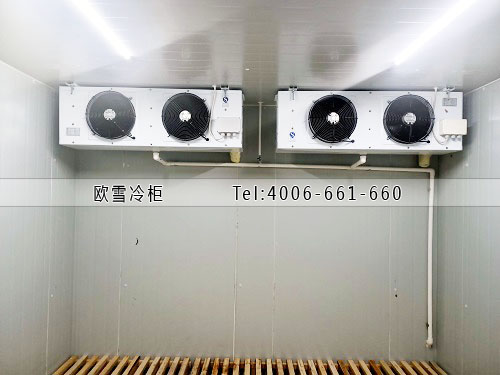 歐雪電子元器件冷藏冷庫(kù)工程建設(shè).jpg