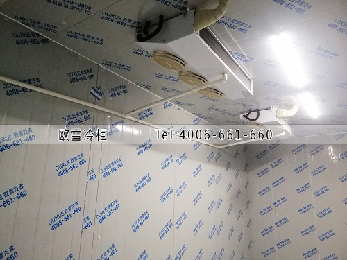 鮮花保鮮冷庫建設(shè)多少錢一平米.jpg 鮮花保鮮冷庫建設(shè)多少錢一平米.jpg