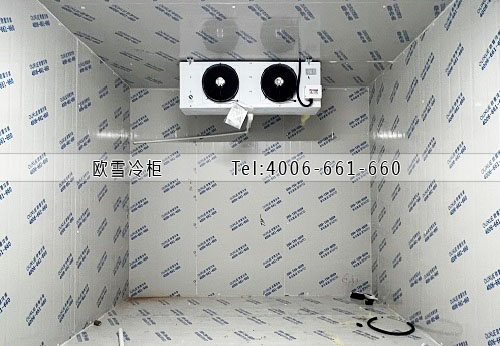 凍庫(kù)建造廠家.jpg