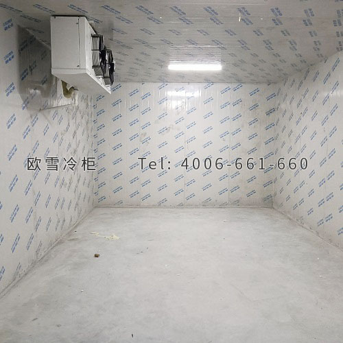 冷凍冷庫(kù)安裝.jpg