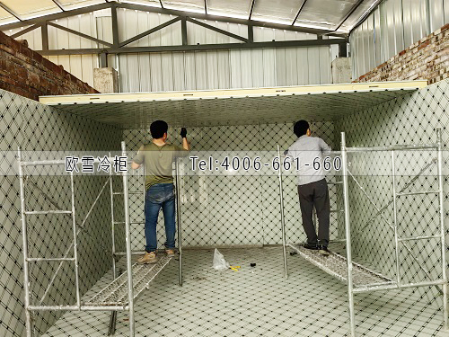 蘑菇冷藏冷庫安裝.jpg