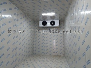 振新(重慶)農(nóng)業(yè)科技開(kāi)發(fā)有限公司物流倉(cāng)儲(chǔ)冷庫(kù)