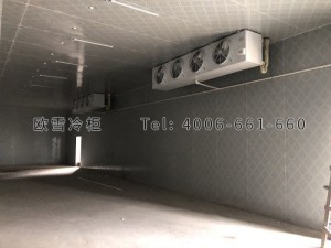 安福縣城關生豬定點屠宰廠肉類冷藏冷凍冷庫安裝