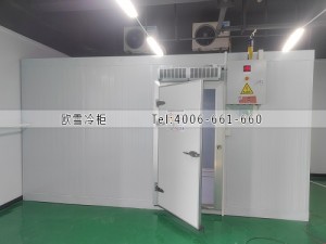 湖南長(zhǎng)沙小型藥品冷庫安裝案例