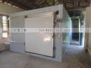 湖南長(zhǎng)沙-18℃低溫冷凍冷庫(kù)安裝案例