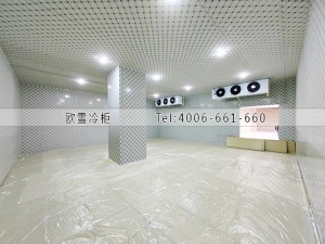 湖南郴州物流中心食品冷藏冷凍冷庫(kù)安裝案例