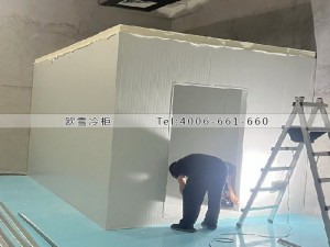 深圳光明區(qū)30立方小型化學(xué)原料冷藏冷庫安裝案例