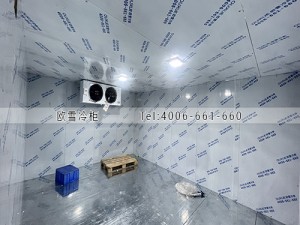 惠州惠陽(yáng)55立方的寵物罐頭冷藏冷庫(kù)安裝案例