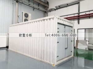 湖南弘輝科技有限公司-18℃集裝箱冷凍冷庫(kù)安裝